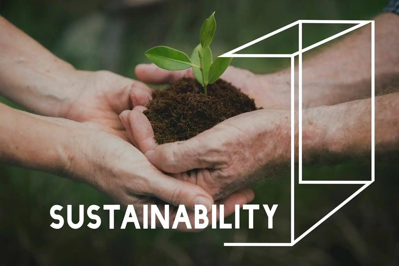 Wortgrafik: Bäume pflanzen, Natur, Umwelt, Welt retten, Ökologie.