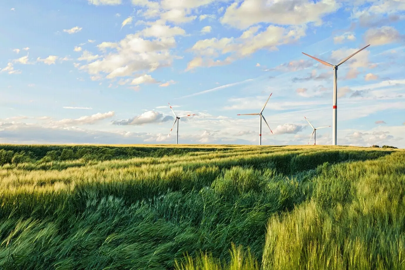 Schöne Aufnahme von Windkraftanlagen unter bewölktem Himmel in der Region Eiffel, Deutschland.